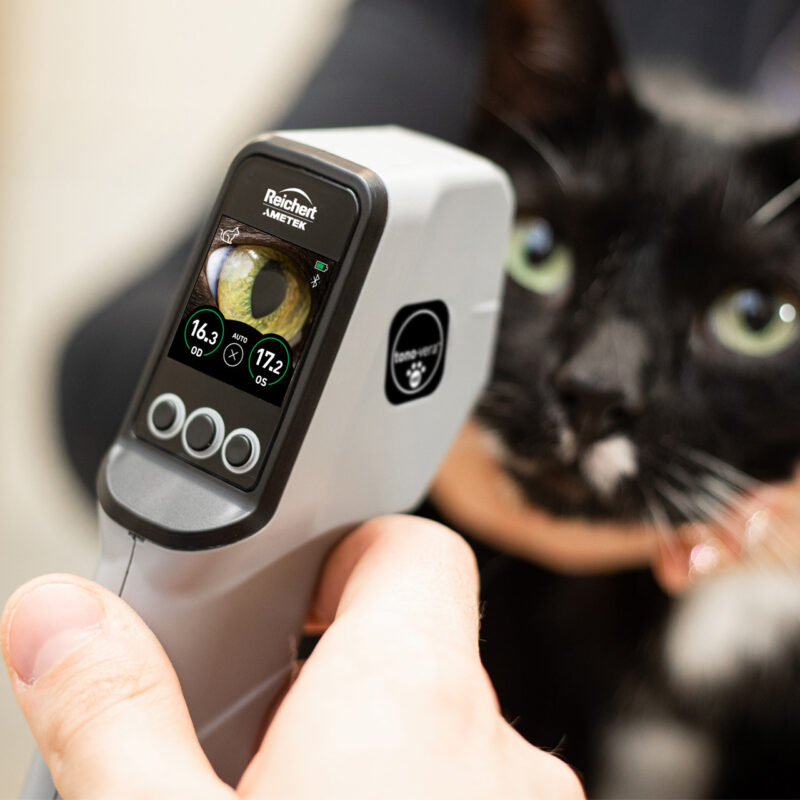 How to Use Veterinary Tonometers: Step-by-Step Guide for Common Species ...